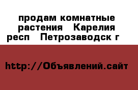 продам комнатные растения - Карелия респ., Петрозаводск г.  »    